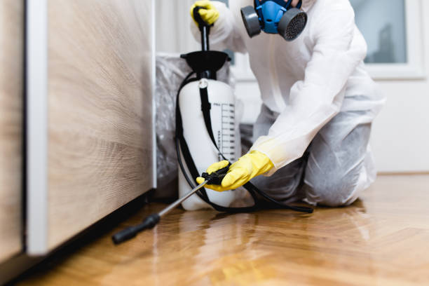 Best Flea Control Services  in Altoona, WI