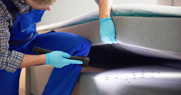 Best Emergency Pest Control  in Altoona, WI