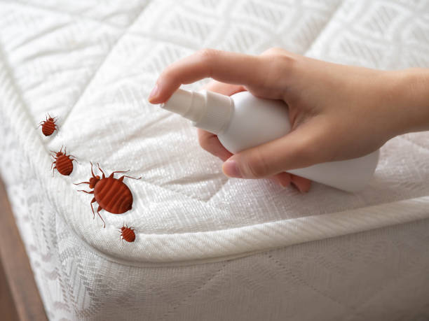 Best Best Pest Control Companies  in Altoona, WI