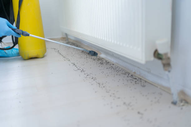 Best Affordable Pest Control Services  in Altoona, WI